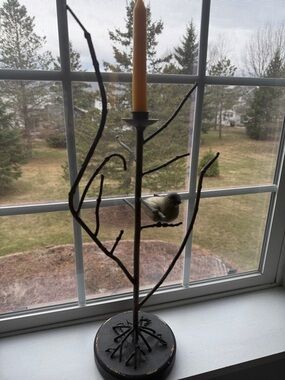Rustic iron twig and bird candelabra
